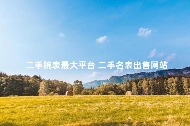 二手腕表最大平台 二手名表出售网站